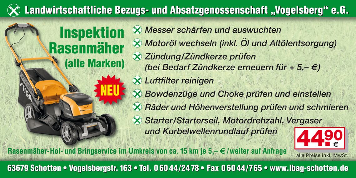 Inspektion Rasenmäher